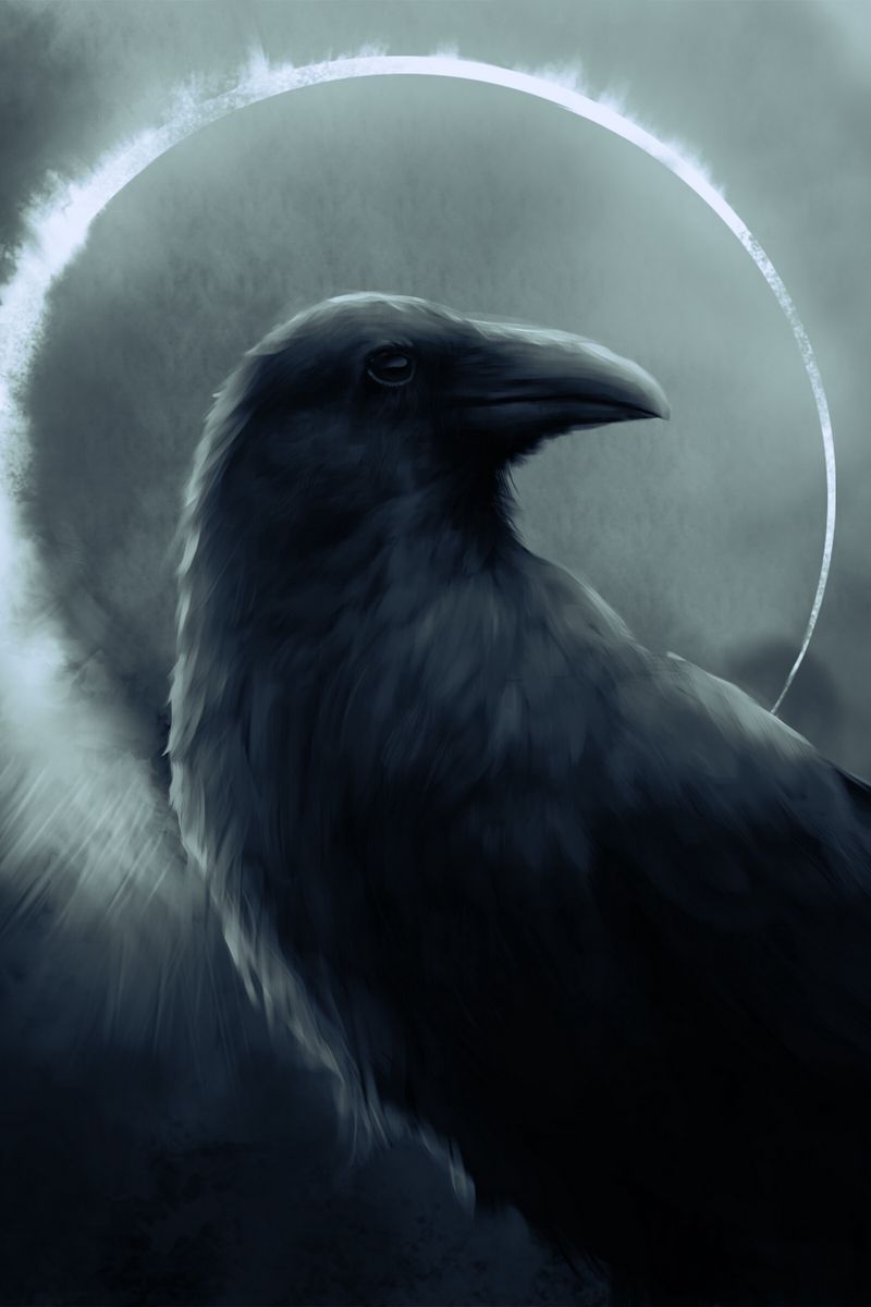 Download wallpaper 800x1200 raven, bird, art, dark, circle iphone 4s/4 for  parallax hd background