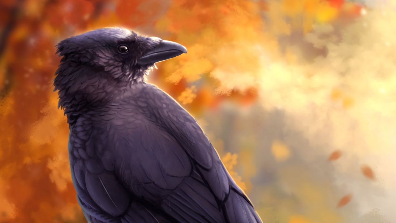 Wallpaper raven, bird, art, black, autumn