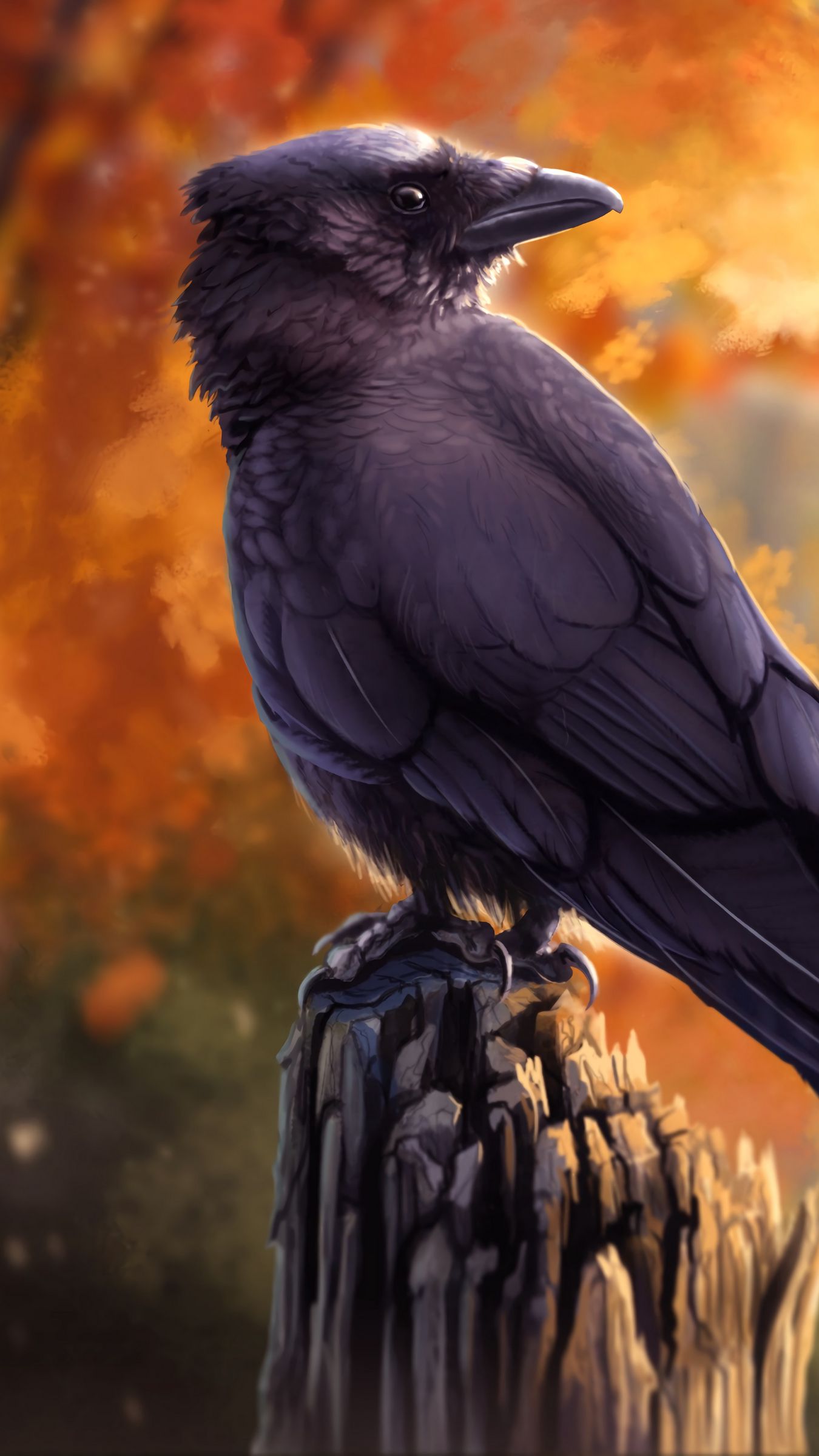 raven bird drawing wallpaper