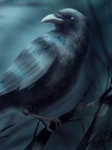 Preview wallpaper raven, bird, branch, black, art