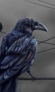 Preview wallpaper raven, bird, feathers, wire