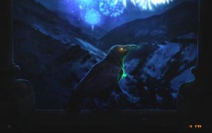 Preview wallpaper raven, bird, night, fireworks, dark