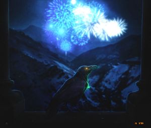 Preview wallpaper raven, bird, night, fireworks, dark