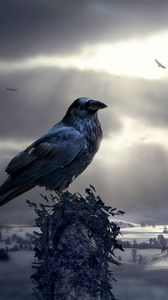 Preview wallpaper raven, bird, photoshop, mystical, sculptures