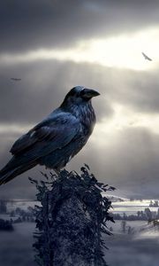 Preview wallpaper raven, bird, photoshop, mystical, sculptures