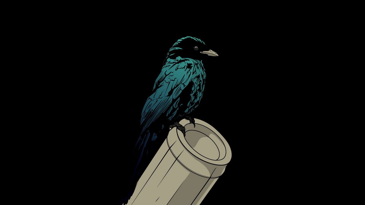 Wallpaper raven, bird, pipe
