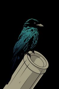 Preview wallpaper raven, bird, pipe