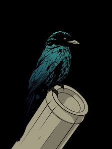 Preview wallpaper raven, bird, pipe