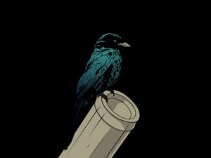 Preview wallpaper raven, bird, pipe