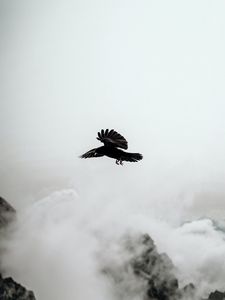 Preview wallpaper raven, bird, rocks, fog