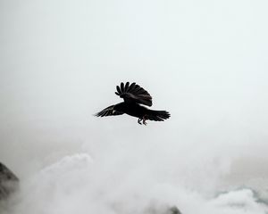 Preview wallpaper raven, bird, rocks, fog