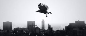 Preview wallpaper raven, city, bw, bird, flight