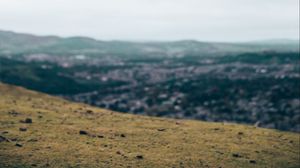 Preview wallpaper raven, flight, landscape, gray, horizon