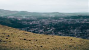 Preview wallpaper raven, flight, landscape, gray, horizon