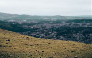 Preview wallpaper raven, flight, landscape, gray, horizon