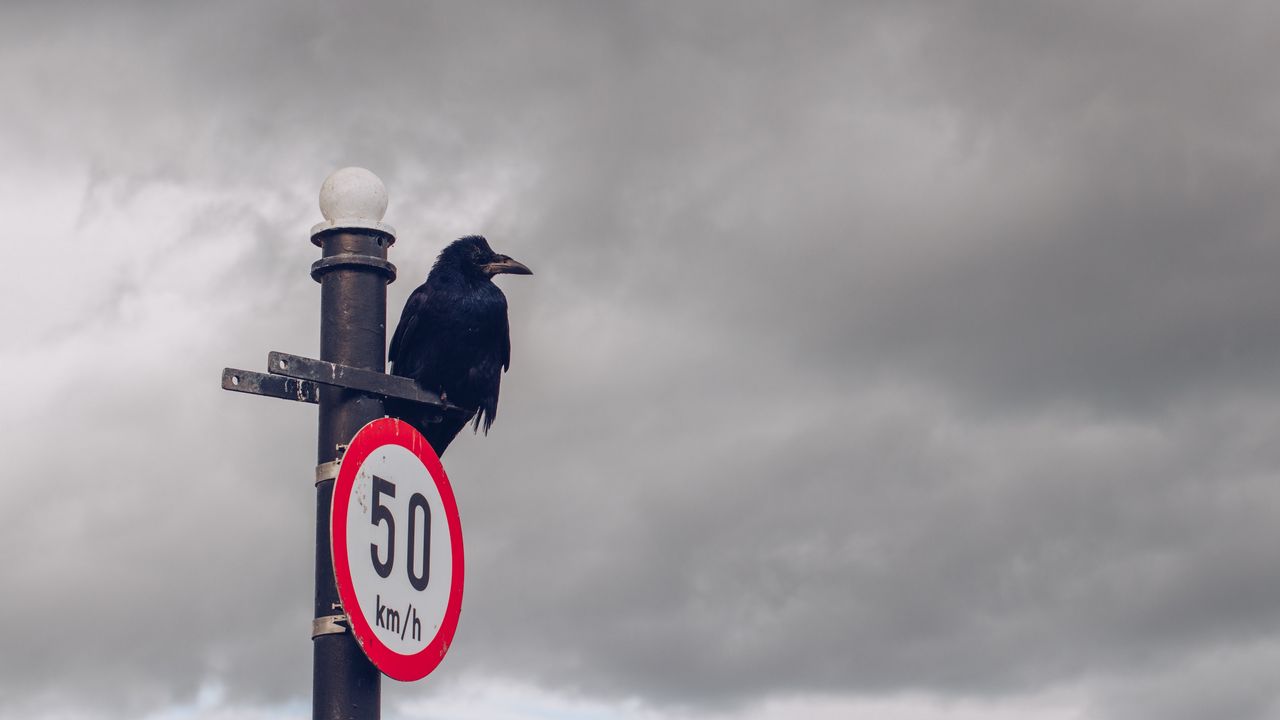 Wallpaper raven, pillar, bird, sign, clouds, overcast