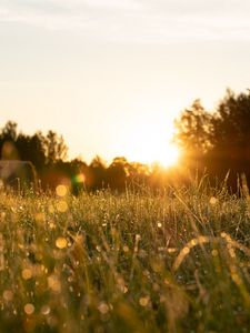 Preview wallpaper rays, grass, field, glare