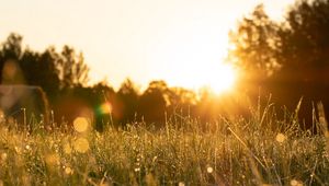 Preview wallpaper rays, grass, field, glare