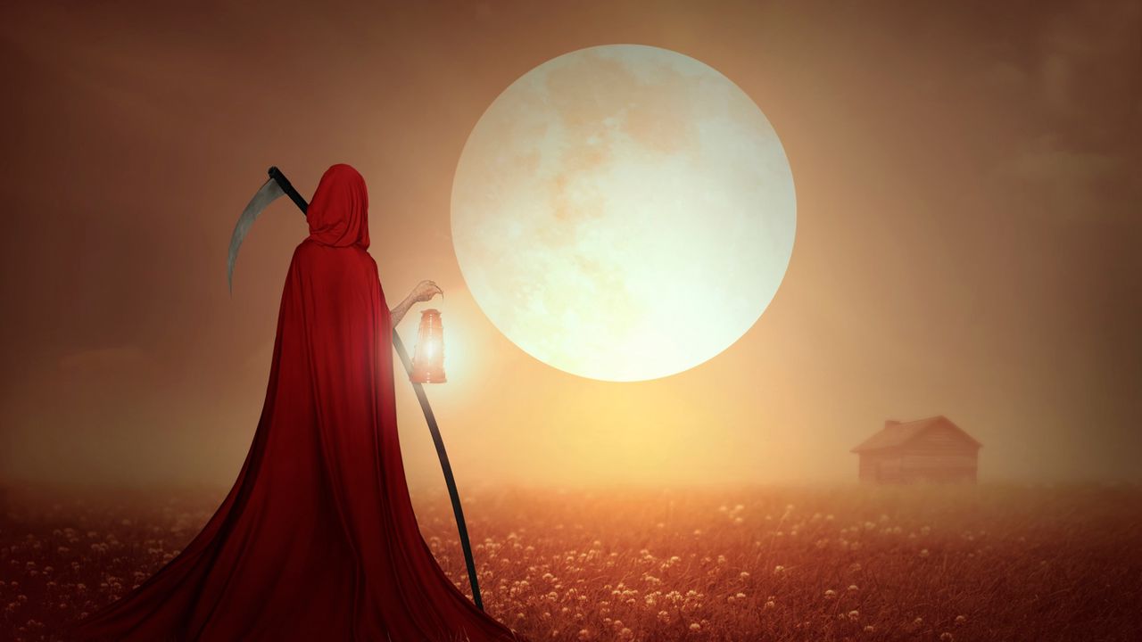 Wallpaper reaper, field, braid, cape, sunset