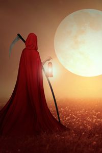 Preview wallpaper reaper, field, braid, cape, sunset