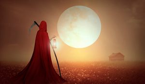 Preview wallpaper reaper, field, braid, cape, sunset