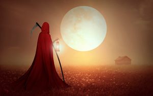 Preview wallpaper reaper, field, braid, cape, sunset