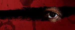 Preview wallpaper red, black, brown, eyes