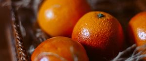 Preview wallpaper red oranges, oranges, fruits, citrus, basket