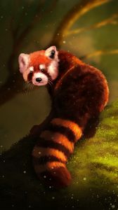 Red panda 1080P, 2K, 4K, 5K HD wallpapers free download | Wallpaper Flare