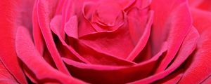 Preview wallpaper red rose, bud, petals, close-up