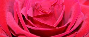 Preview wallpaper red rose, bud, petals, close-up