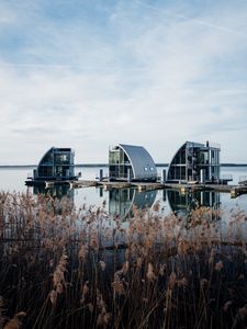 Preview wallpaper reeds, lake, pier, buildings