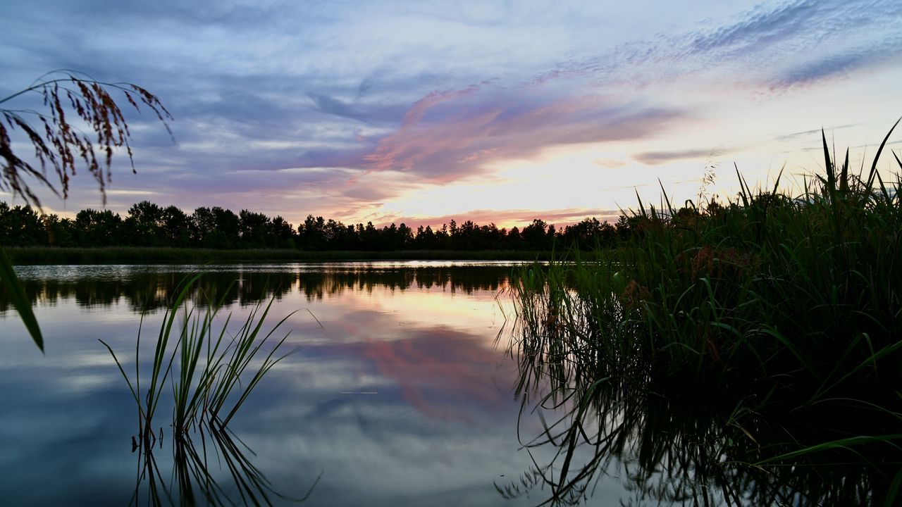 Wallpaper reeds, lake, twilight, landscape, nature