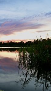 Preview wallpaper reeds, lake, twilight, landscape, nature