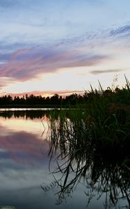 Preview wallpaper reeds, lake, twilight, landscape, nature