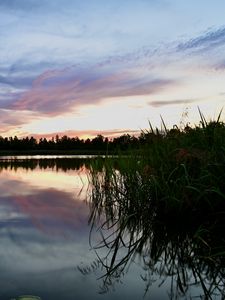 Preview wallpaper reeds, lake, twilight, landscape, nature