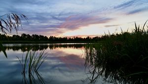Preview wallpaper reeds, lake, twilight, landscape, nature