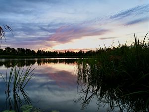 Preview wallpaper reeds, lake, twilight, landscape, nature