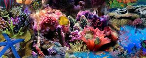 Preview wallpaper reef, coral, fish