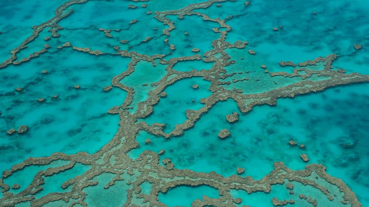 Wallpaper reefs, ocean, water, aerial view, bottom