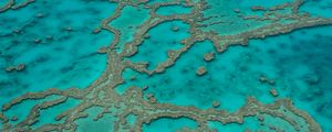 Preview wallpaper reefs, ocean, water, aerial view, bottom