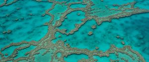 Preview wallpaper reefs, ocean, water, aerial view, bottom