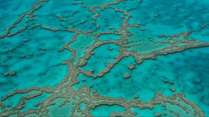 Preview wallpaper reefs, ocean, water, aerial view, bottom