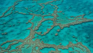 Preview wallpaper reefs, ocean, water, aerial view, bottom