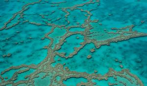 Preview wallpaper reefs, ocean, water, aerial view, bottom