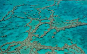 Preview wallpaper reefs, ocean, water, aerial view, bottom