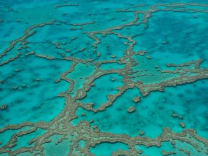 Preview wallpaper reefs, ocean, water, aerial view, bottom