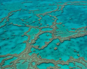 Preview wallpaper reefs, ocean, water, aerial view, bottom