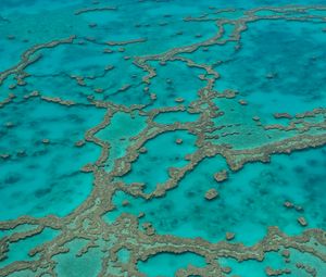 Preview wallpaper reefs, ocean, water, aerial view, bottom