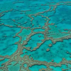 Preview wallpaper reefs, ocean, water, aerial view, bottom